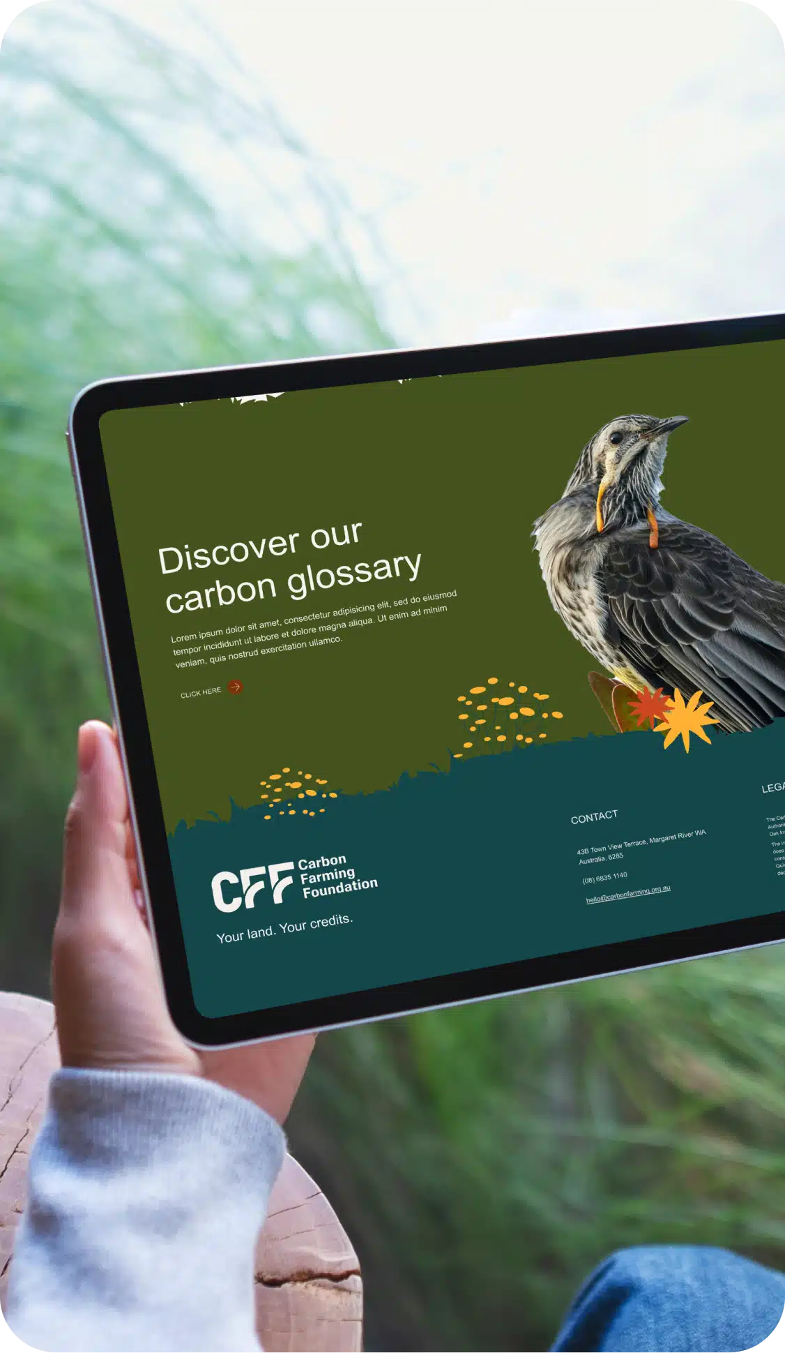 Person holding a tablet displaying a website with the headline "Discover our carbon glossary" and an image of a bird on a green background, highlighting topics like carbon farming and sustainable agriculture.