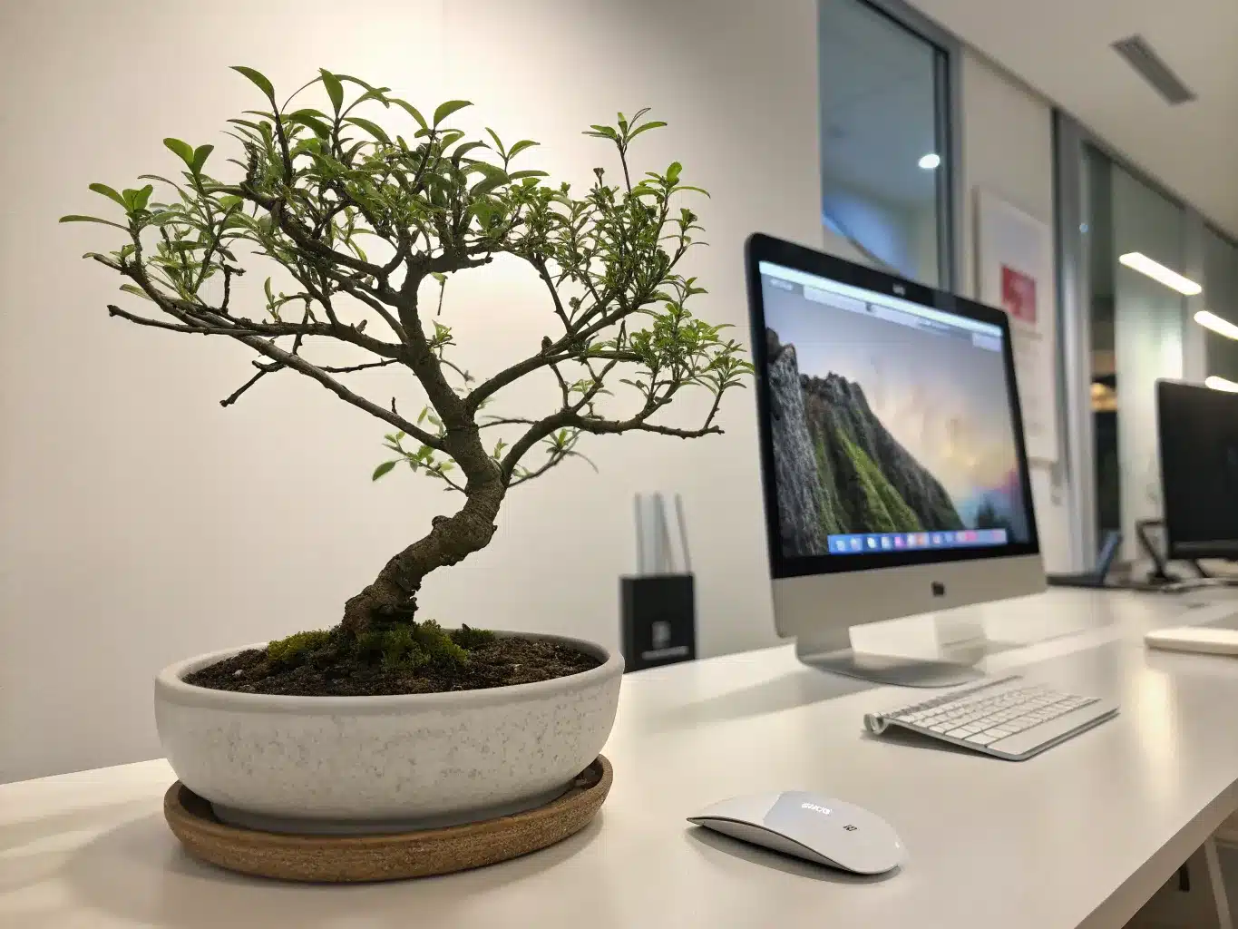 A potted bonsai tree sits on a desk next to an Apple iMac computer, keyboard, and mouse in a modern office setting, capturing the Future of Design where nature and AI-inspired technology harmoniously blend.
