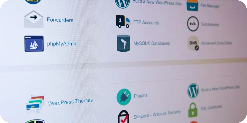 A computer screen displays a 2025 web hosting control panel with icons and labels for website maintenance tools like phpMyAdmin, FTP accounts, MySQL databases, and WordPress themes.