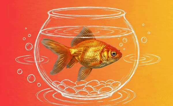 A goldfish swims inside a transparent fishbowl with white sketch-style outlines and pebbles, set against an orange-to-yellow gradient background.